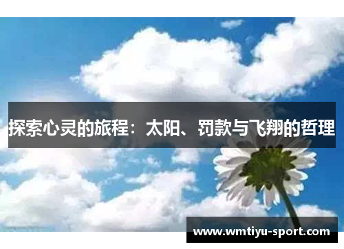 探索心灵的旅程：太阳、罚款与飞翔的哲理