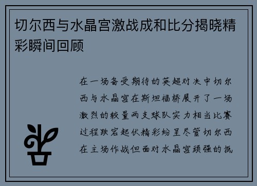 切尔西与水晶宫激战成和比分揭晓精彩瞬间回顾